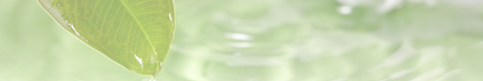 Discoloration / Skin Tone