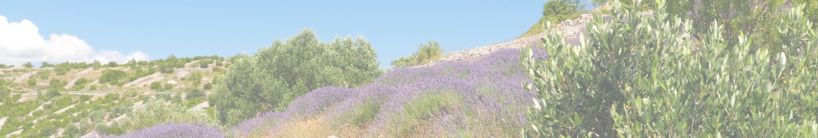 Natural Best Sellers